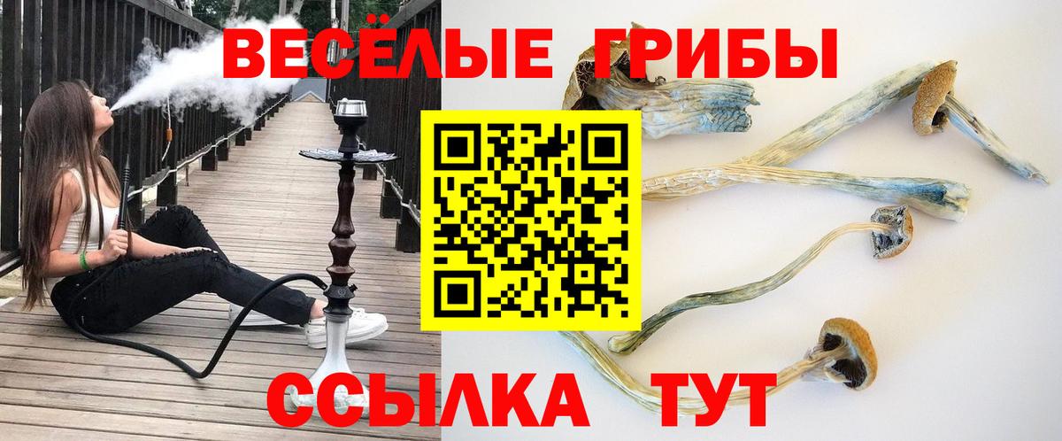 Псилоцибиновые грибы Magic Shrooms Малгобек