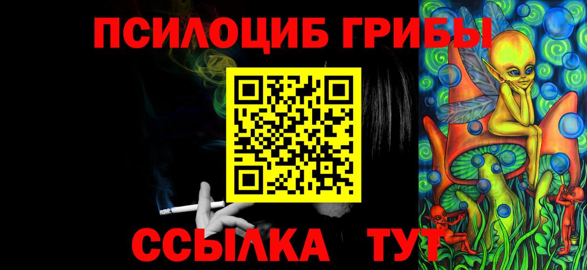 Галлюциногенные грибы прущие грибы  Вход с VPN  Малгобек 