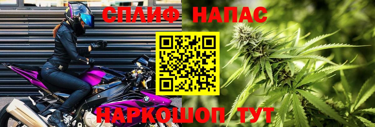 Конопля план Малгобек